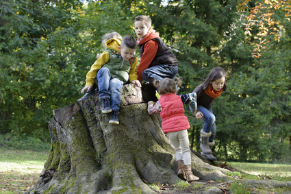 Ada Hasloecher of Divorce and Family Mediation Center LLC talks about the importance of dealing with children during and after a divorce.