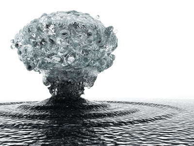Hoist With Your Own Petard By Ada Hasloecher of Divorce and Family Mediation Center