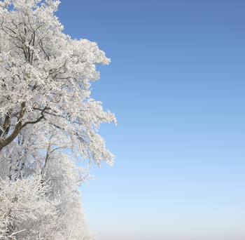 Ada Hasloecher of DivorceFamilyMediationCenter.com explains why she is declaring January as an opportune time to begin mediation.