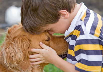 Ada Hasloecher of divorcefamilymediationcenter.com discusses the issue of pet custody when a couple decides to divorce.