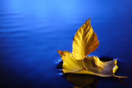 Ada Hasloecher of divorceandfamilymediationcenter.com discusses the importance of stillness and silence.