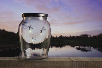 Divorce and Family Mediator, Ada Hasloecher of divorceandfamilymediationcenter.com explains how the nearing the end of summer is like nearing the end of a marriage.