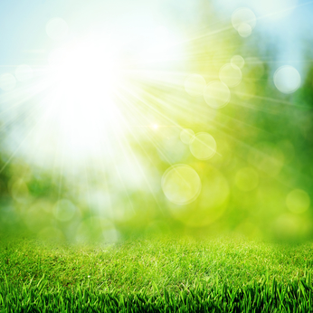 Ada Hasloecher of Divorce and Family Mediation Center LLC discusses Spring, its time of renewal and how it can apply to the mediation process.