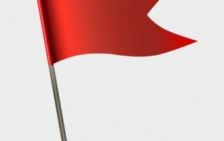 The Red Flags by Ada Hasloecher