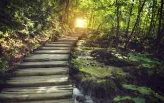Words of Wisdom When Contemplating a Separation by Ada Hasloecher