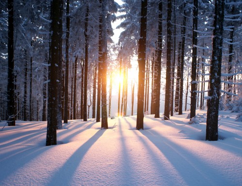 May you have joy…